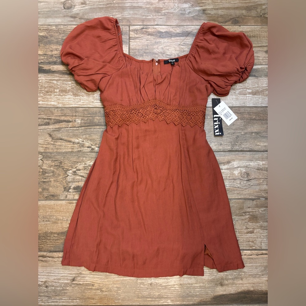 Brown Dress BNWT